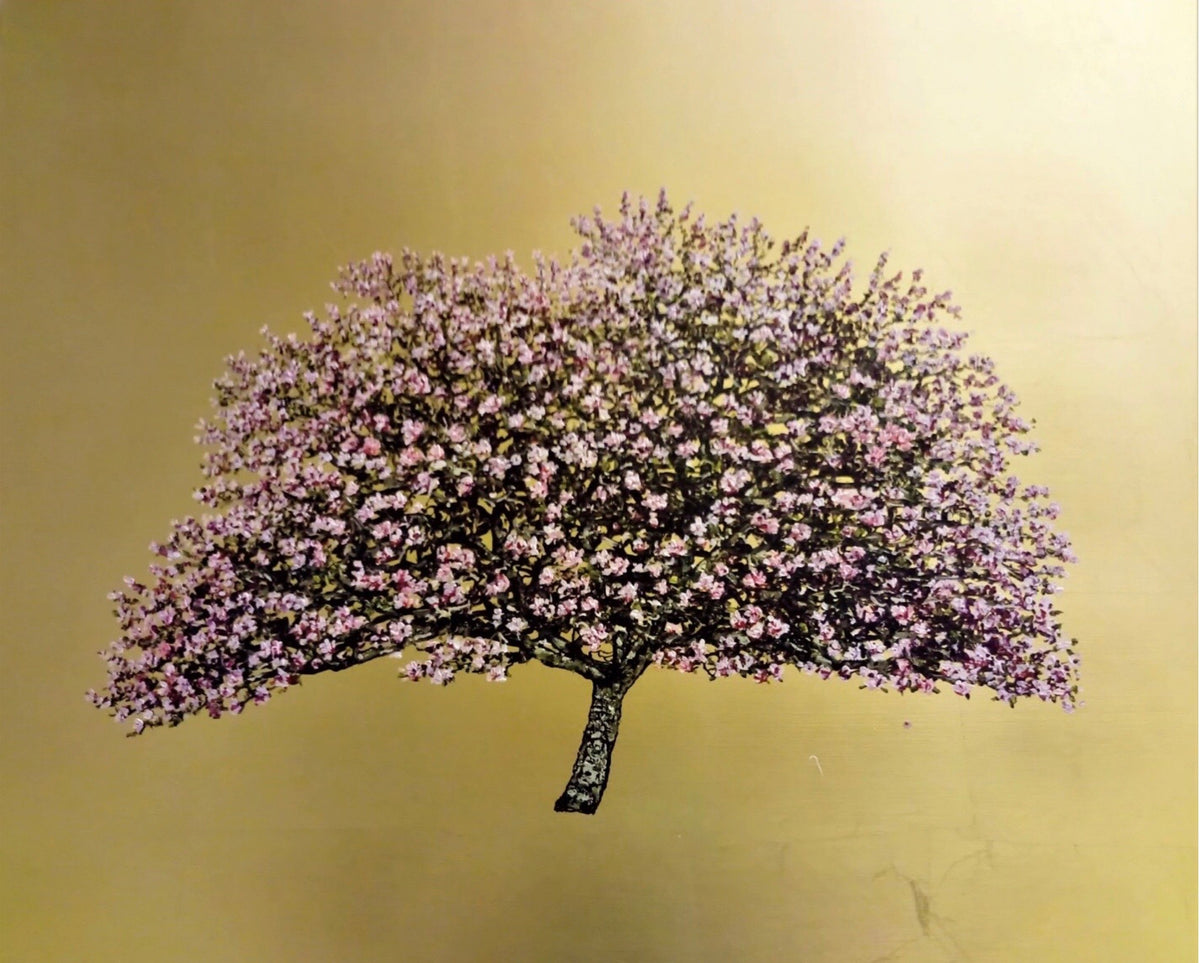 Aurora, Cherry Blossom